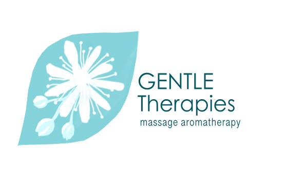 BurnOut Brotherhood original story board